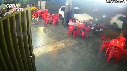 Câmera flagra cachorro roubando espetinho do cliente de um restaurante que estava distraído