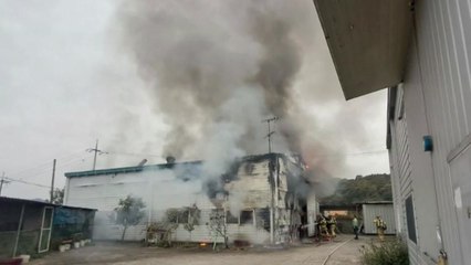 평택 인쇄 공장 불...인명 피해 없이 큰 불길 잡혀 / YTN