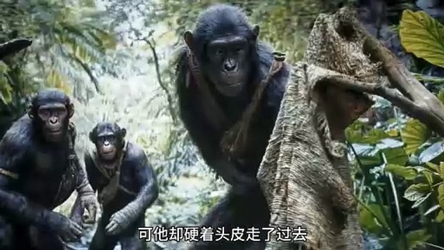 Can Humans and Chimpanzees Coexist in the Wild_ Discover in this TV #AdventureMovies #ExplainedInHindi #LatestMovies #ViralMovies Series!