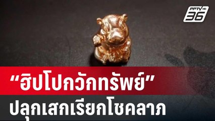 แชร์สนั่น! หมูเด้ง “ฮิปโปกวักทรัพย์” ปลุกเสกเรียกโชคลาภ | เที่ยงทันข่าว | 1 พ.ย. 67