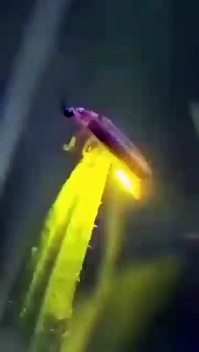 جگنو کی روشنی