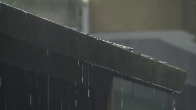 [날씨] 제주도 호우경보, 내일까지 최고 300mm...남해안 100mm / YTN