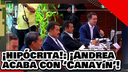 ¡No seas hipócrita! ¡Andrea Chávez acaba con ‘Ricky Riquín Canayín’ por defender a ‘Ra-PIÑA’!