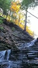 Amazing Miracle #shorts #shortvideo #video #virals #videoviral #innovationhub