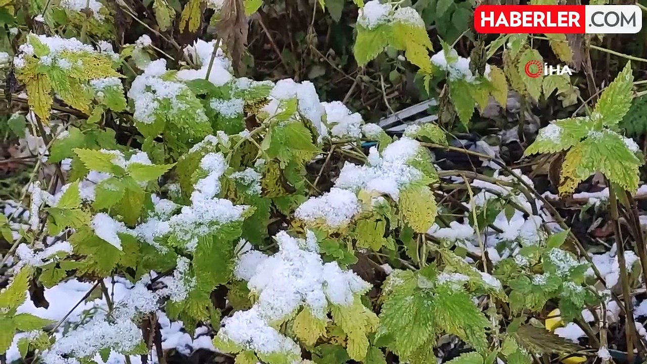 Ardahan'da Soğuk Hava Etkisini Gösterdi: Kırağı ve Buzlanma Oluştu