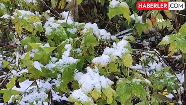Ardahan'da Soğuk Hava Etkisini Gösterdi: Kırağı ve Buzlanma Oluştu