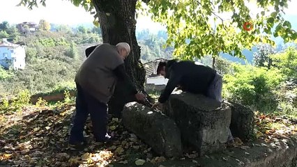 Yıllardır oturdukları 1800 yıllık mil taşının değerini müzeye kaldırınca anladılar