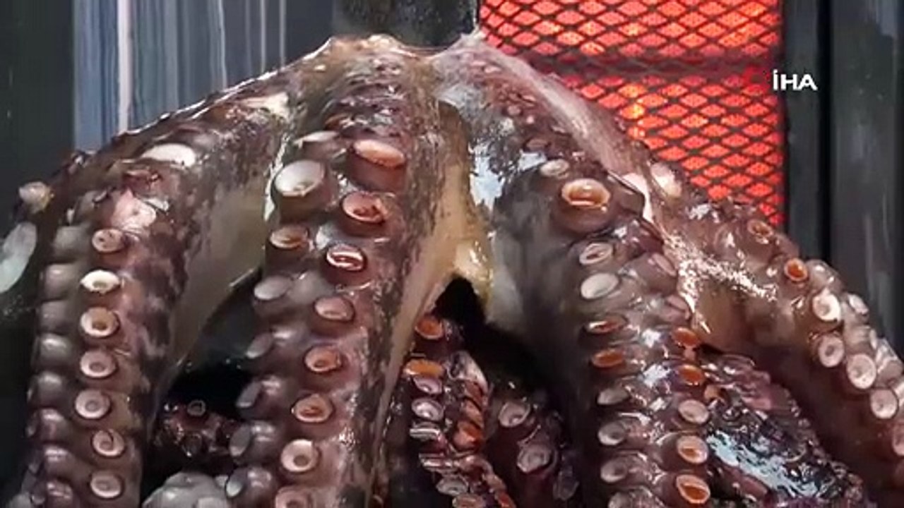 Türkiye'de bir ilk! Şef kardeşler ahtapottan döner yaptı