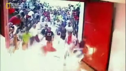 do or die hindi bull race