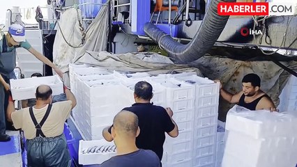 Kestane Karası Fırtınası Sona Erdi, Balıkçılar Karadeniz'e Açıldı