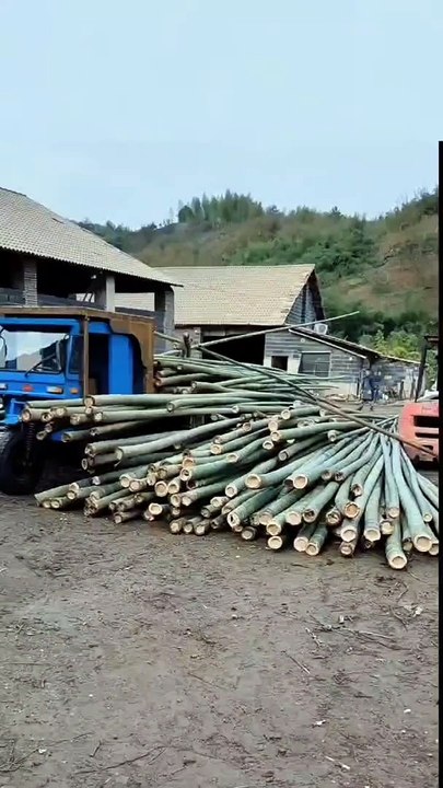15/1000 实时翻译 划译 A cart of bamboo can be quickly unloaded! Uninstalling completed in one second