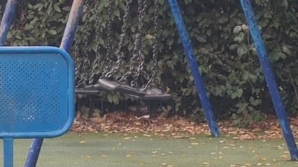 Dad sees "ghost" pushing swing at empty play park