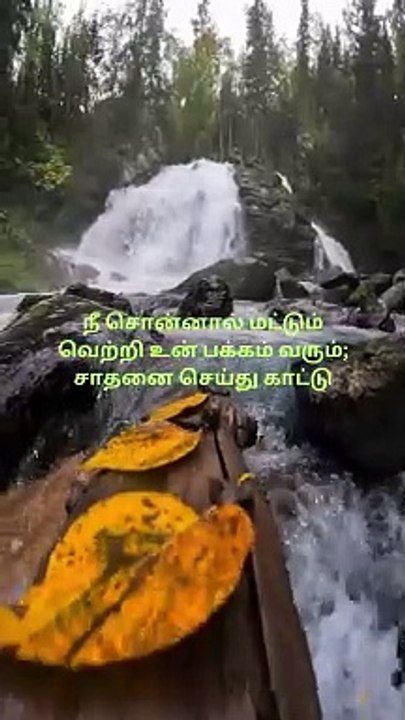 Victory will be yours only if you act; achieve and show the world Relaxing Music , Stress Relief Music, Sleep Music,