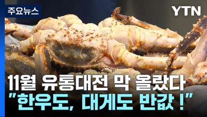 여긴 한우, 저긴 대게!...11월 유통대전에 곳곳 '오픈런' / YTN
