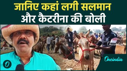 Donkey Fair: Chitrakoot में लगा मेला, Katrina, Salman- Shahrukh की बोली ! | वनइंडिया हिंदी