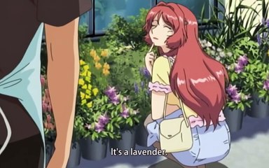 This is my older brother's fault - Web Series - Anime