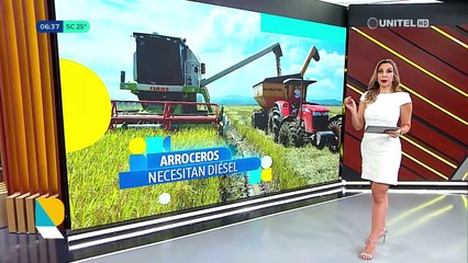 Productor de arroz de Beni alerta que si no tienen diésel se dejará de producir 100.000 toneladas y el precio del producto subirá