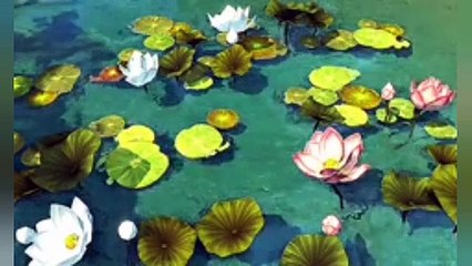 Amazing facts about water lily in urdu \ in Hindi | water lily | water lily facts in Urdu \  Hindi