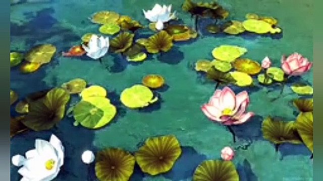 Amazing facts about water lily in urdu \ in Hindi | water lily | water lily facts in Urdu \ Hindi