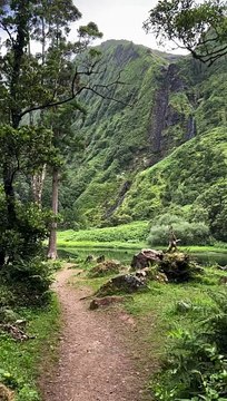 Hidden deep on Flores Island | beauty of nature | natural beauty of earth