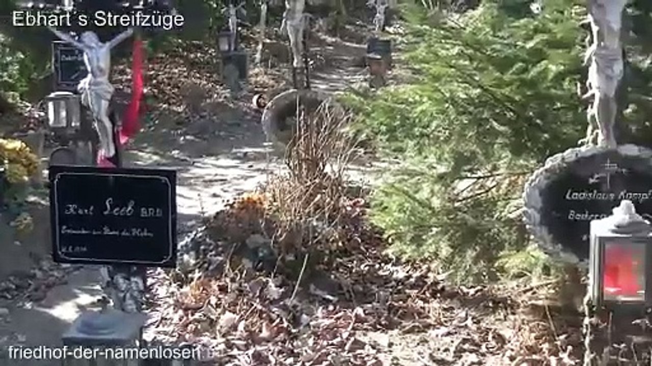 Friedhof der Namenlosen - Die Toten, die die Donau freigab