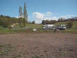 Izou plat rènes longues 2