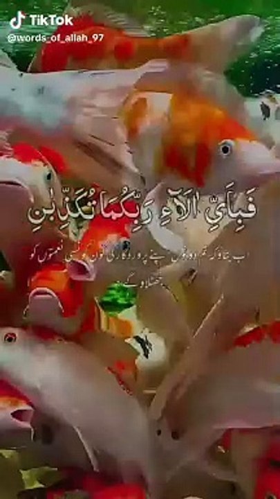 1c1f31a5f8593c8fd04601788bf1484e