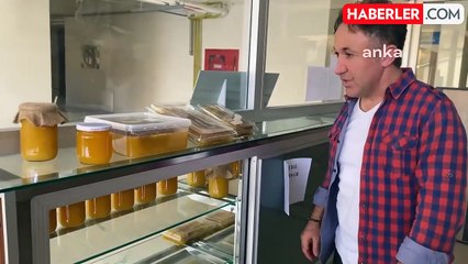 Yozgat'ta İklim Değişikliği, Arı Popülasyonunu ile Bal Üretimini Olumsuz Etkiledi