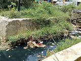 Pembuatan Siring Sungai di Desa Bumi Harapan Tak Kunjung Selesai