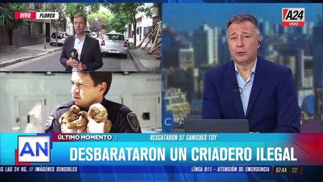 INDIGNANTE: DESBARATARON UN CRIADERO ILEGAL DE CANICHES EN FLORES