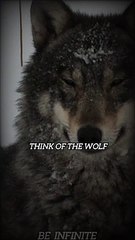 Motivation for Alpha Life | #motivation #mindset  #viralshorts #nnn | Be Infinite