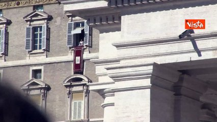 Guerra in Medio Oriente, Papa Francesco: "Il mio pensiero ai 154 innocenti massacrati a Gaza"