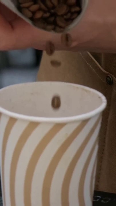 How Coffee is Made