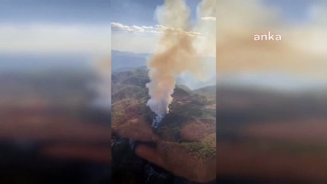 Muğla'nın Köyceğiz ilçesinde orman yangını çıktı