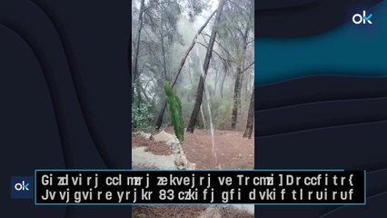 Primeras lluvias intensas en Calviá, Mallorca: Se esperan hasta 50 litros por metro cuadrado