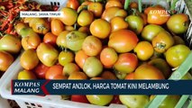 Sempat Anjlok, Harga Tomat Tiba-tiba Melambung