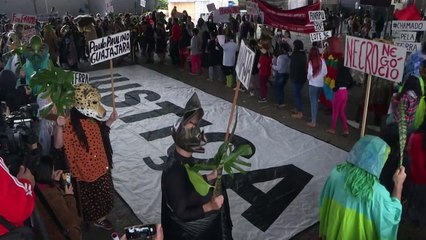 Dom e Bruno foram mortos na Amazônia em retaliação ao ativismo do brasileiro