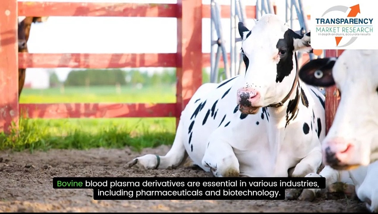Bovine Blood Plasma Derivatives Market Trends and Innovations