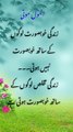 Urdu quotes Amazing|aqwal e zareen|gehri baatien |deeni baatien|best Urdu quotes mix گہری باتیں