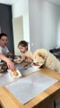 Dog has dinner at the table with the family!