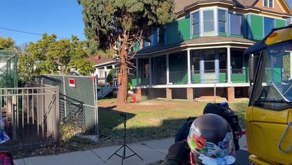 Chicago selects 2024 Christmas Tree; Video courtesy of Mike Krauser