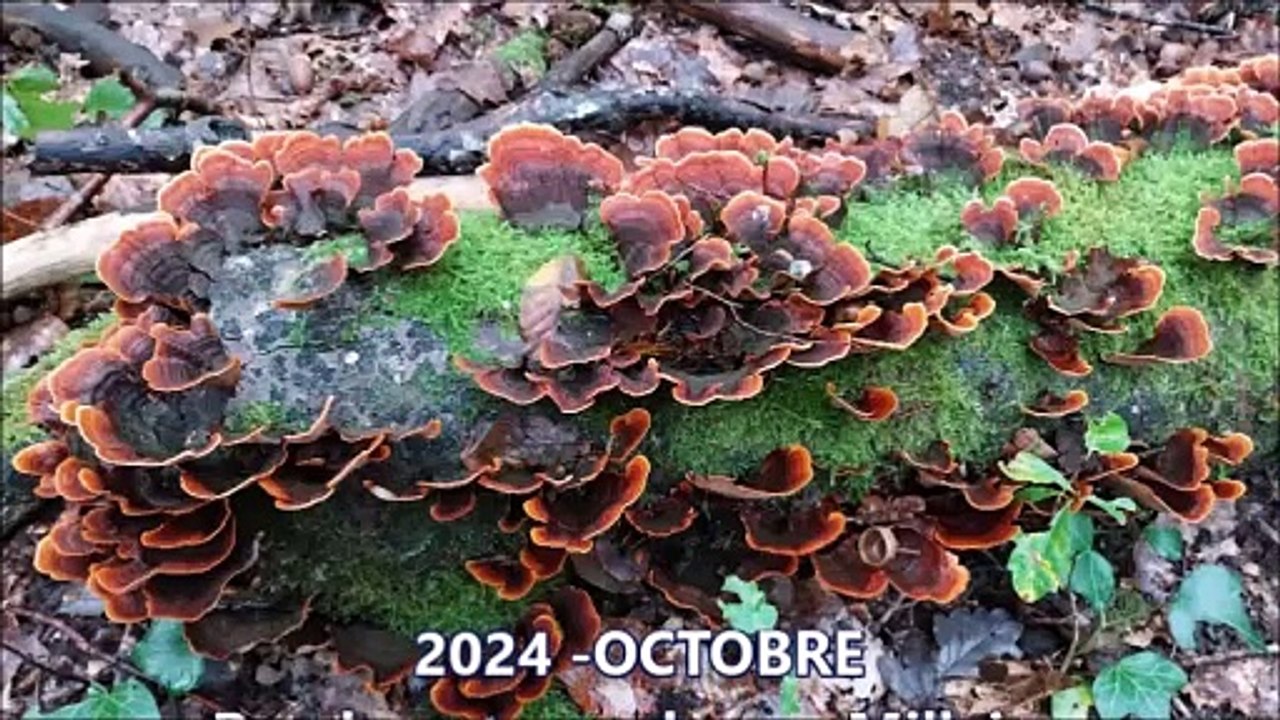 2024-OCTOBRE-BALADES & RANDOS