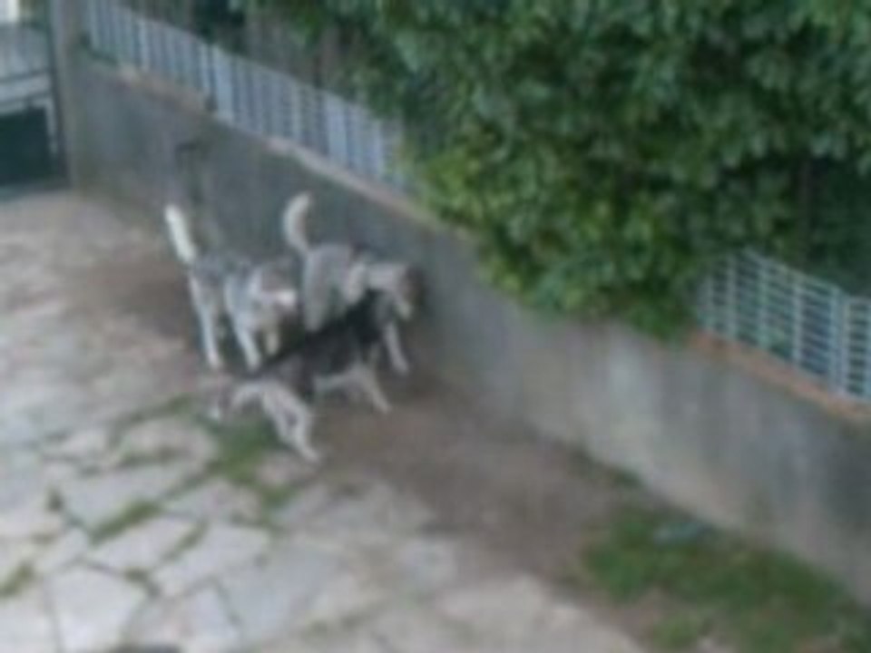 CLIP0005