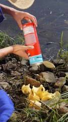 Turning Chips into a Camping Feast 