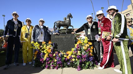 2024 Breeders' Cup Sprint Showdown: Essential Insights