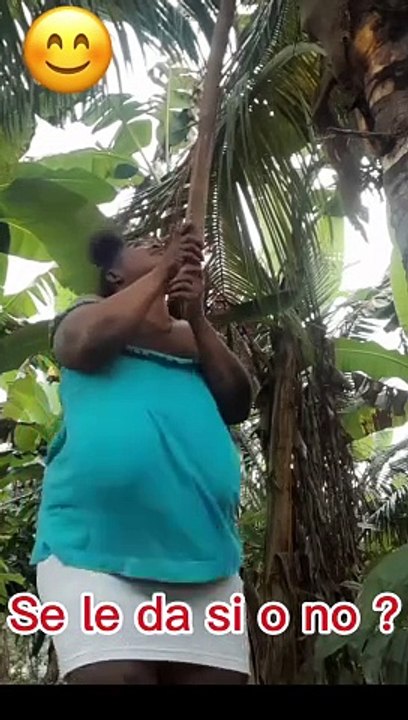 Los cocos de mi tía