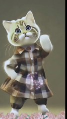 Cat Beautiful Dance #cat #catvideos #cats #lovecats #animals (1)-vmake