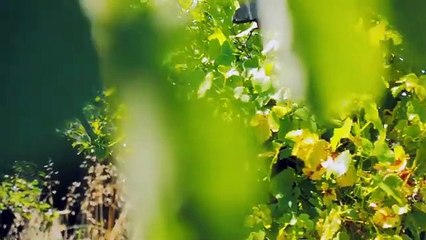 Ils ont été contactés par des extraterrestres - _Les Ailleurs_ EP1_6 (Multi-lang