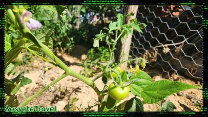 Gezi Seyahat Makaleleri