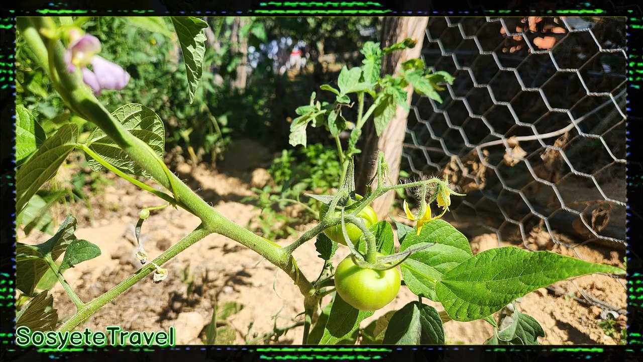 Gezi Seyahat Makaleleri